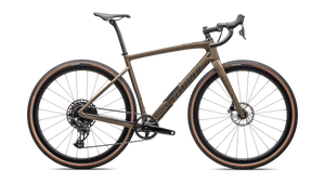 Diverge Expert Carbon 2025