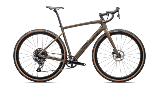 Diverge Expert Carbon 2025
