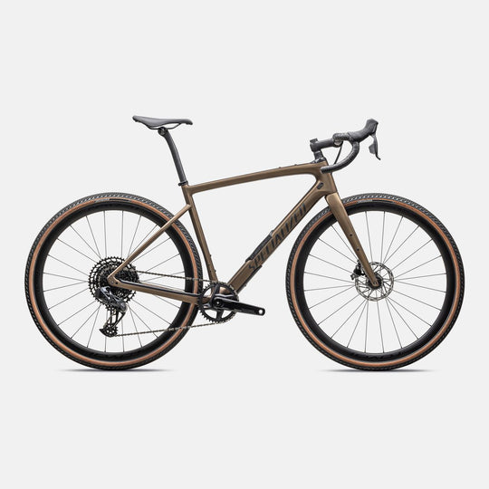 Diverge Expert Carbon 2025