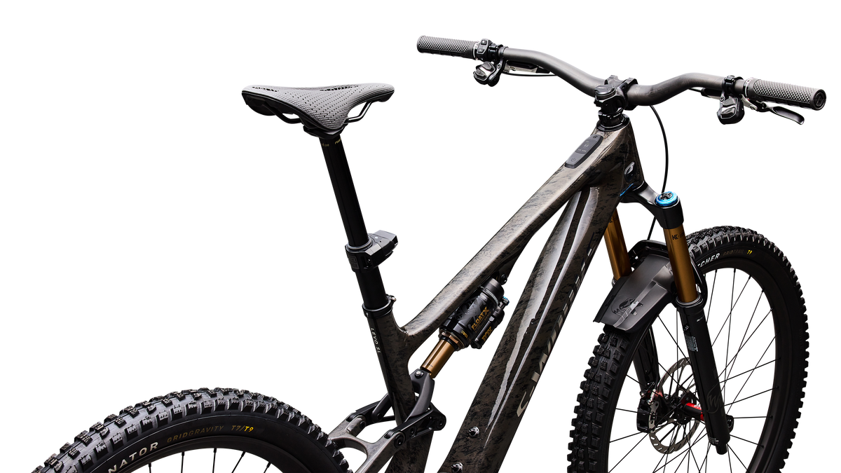 S-Works Turbo Levo SL 2