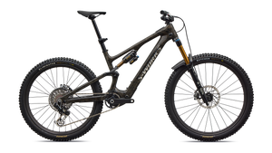 S-Works Turbo Levo SL 2