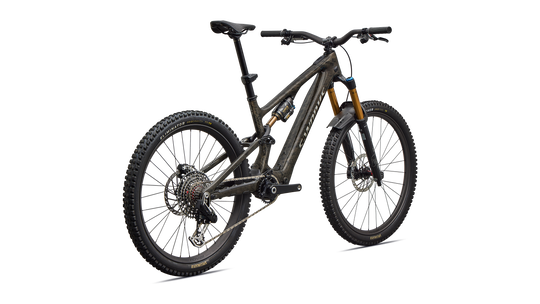 S-Works Turbo Levo SL 2