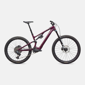 Turbo Levo SL 2 Expert 2026
