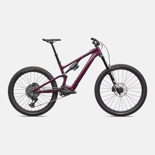 Turbo Levo SL 2 Expert 2026