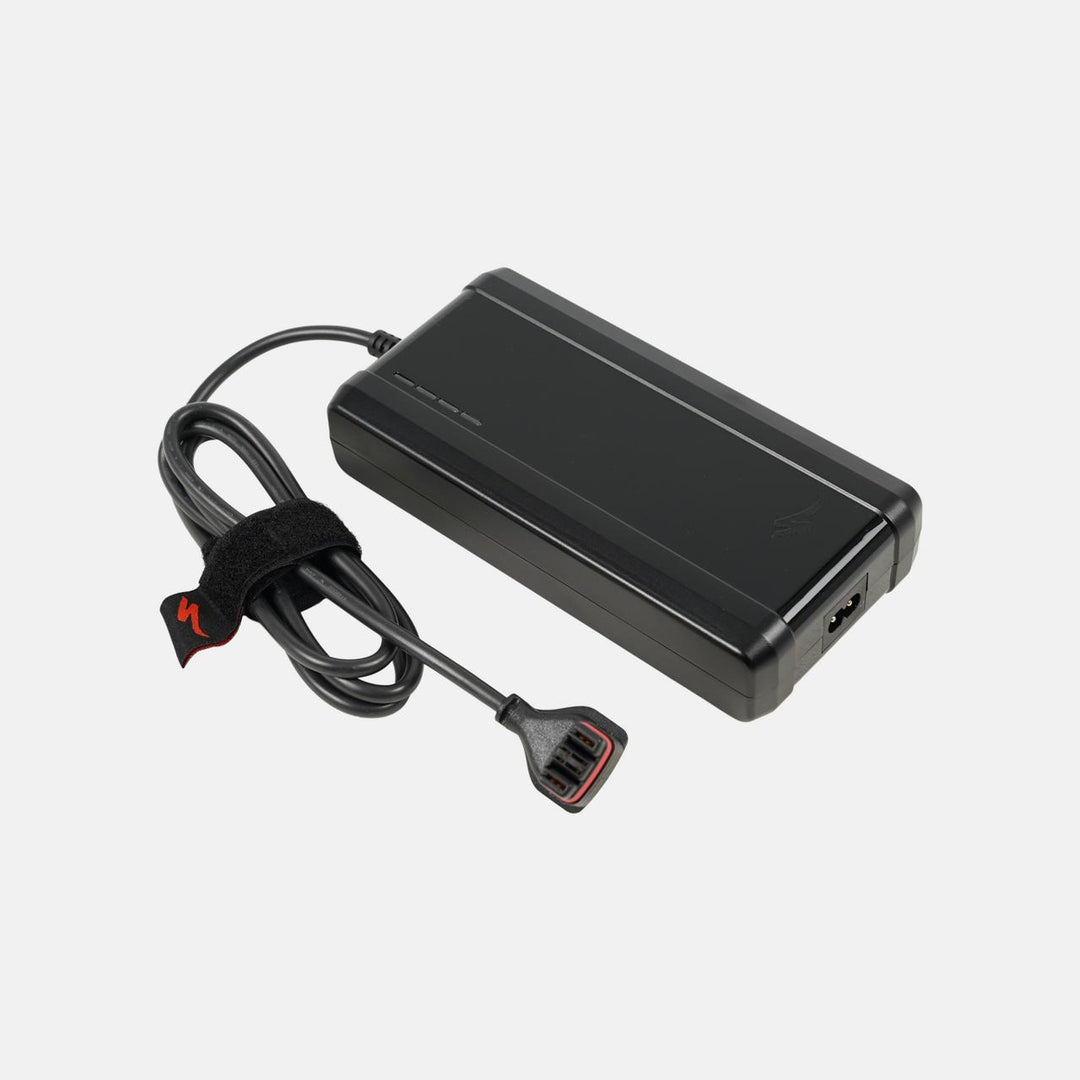 3.1 Standard Charger