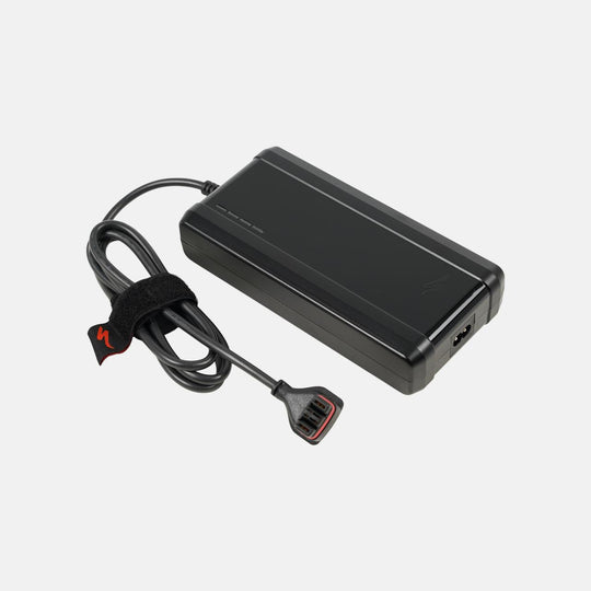 3.1 Standard Charger