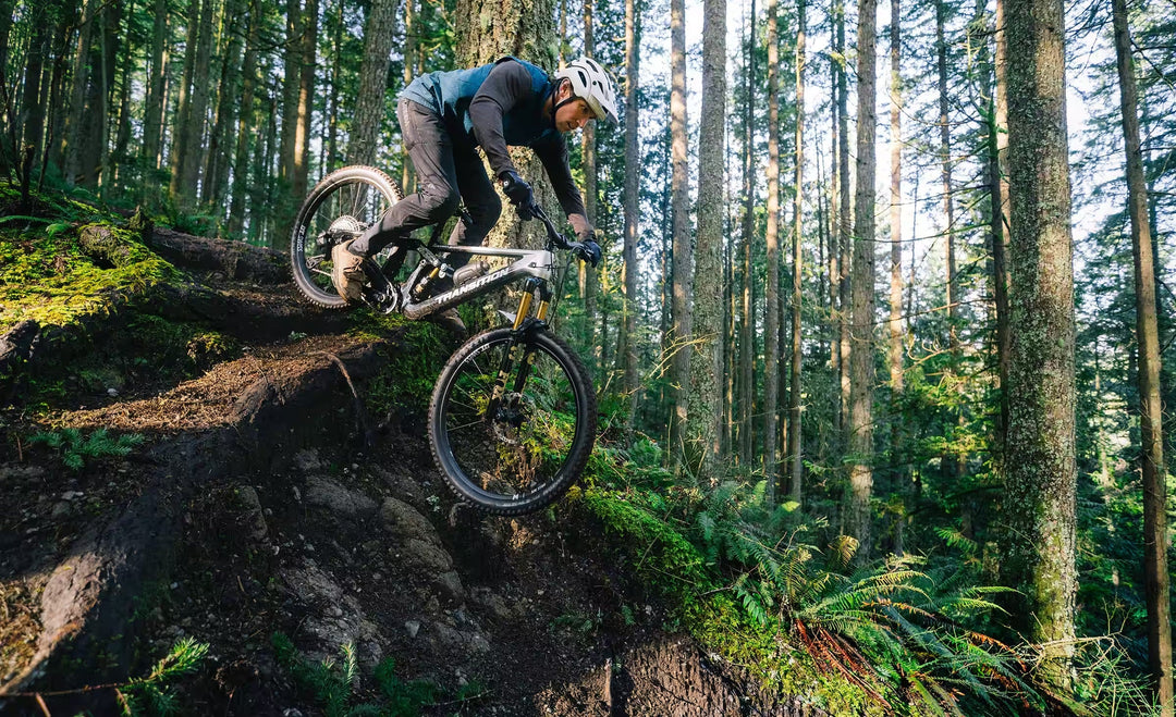 Transition Sentinel Carbon Frameset