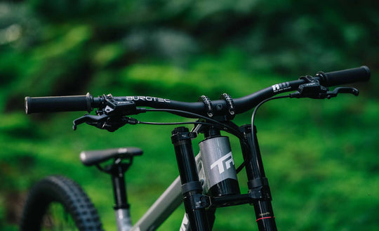 Transition TR11 Frameset