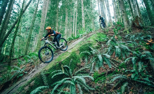 Transition Sentinel Carbon XT Di2