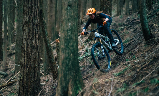 Transition Sentinel Carbon XT Di2