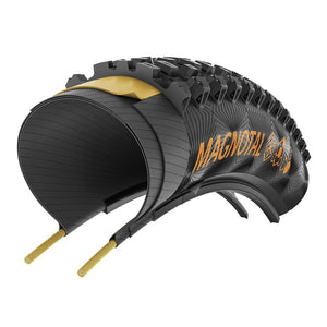 Continental Magnotal MTB tyre Trail casing