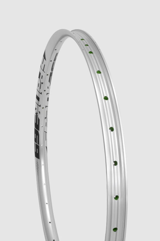 SI-RR71-VC-SILVER(2)