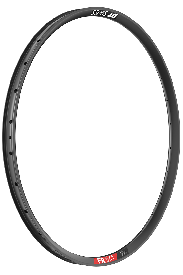 DT Swiss FR 541 29 Rims