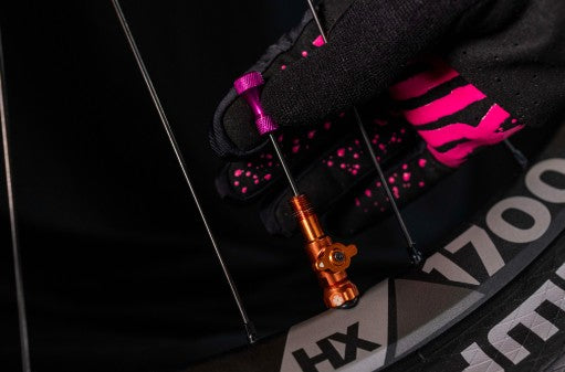 MUC-21172 (1)