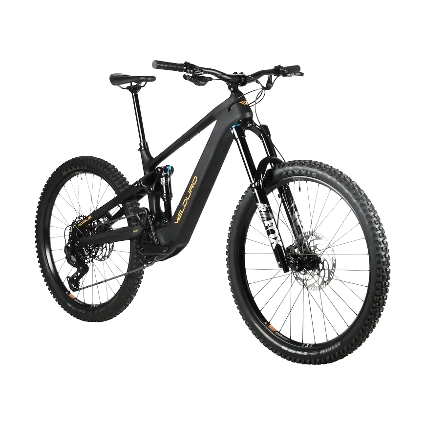 Rogue X M25