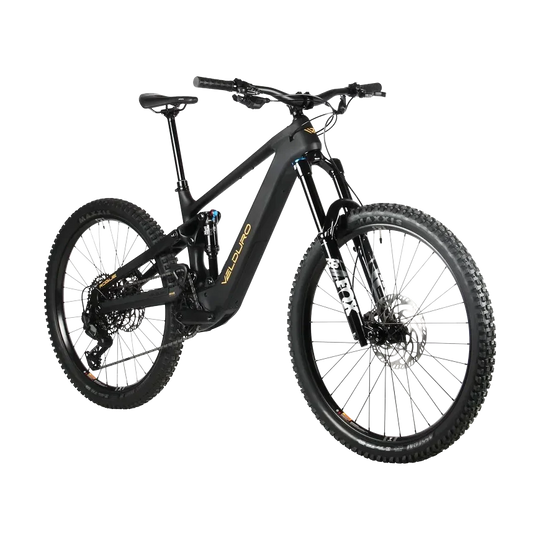 Rogue X M25