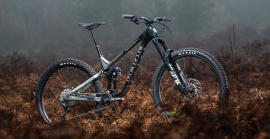 Marin Alpine Trail Carbon 2