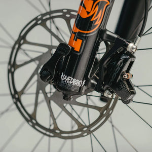 Dyedbro Fork Protection