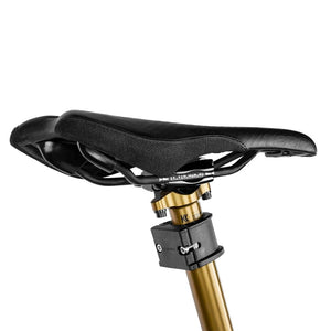 Apidura