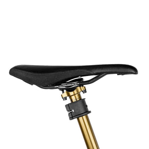Apidura